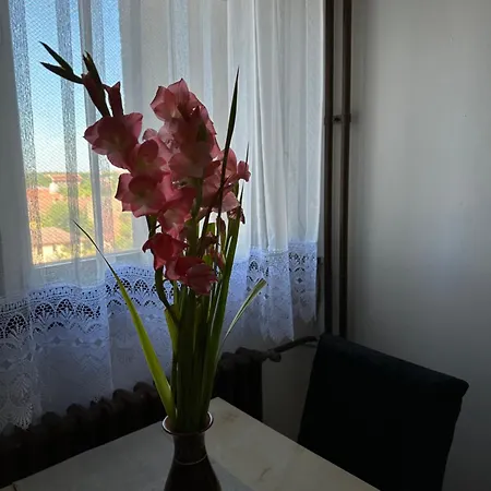 Διαμέρισμα Tamaris